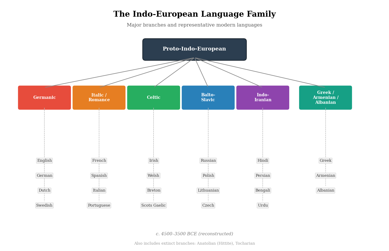 A simplified family tree of the Indo-European language family, showing major branches and representative modern languages